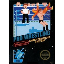 Pro Wrestling NES