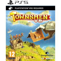 Townsmen VR